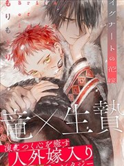 漫画在线免费《雾港夜航》官方免费章封面